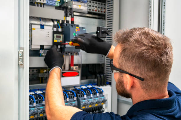 Best Electrical Panel Upgrades  in Ozk, AR